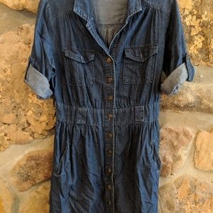 Button up Jean dress